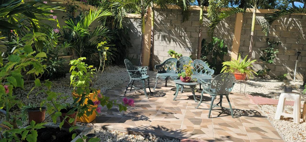 Casita De Las Flores San Jose de Ocoa Exteriör bild